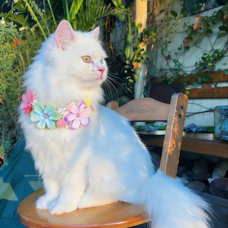 Photography Basics - Precioso Collar de Flores Coloridas para