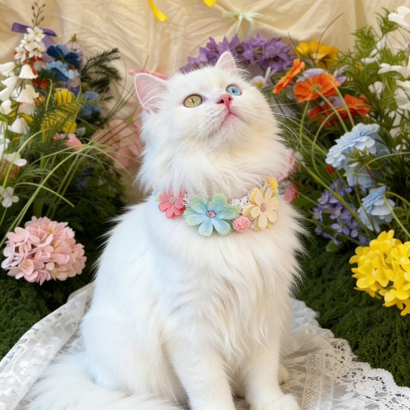 Precioso Collar de Flores Colo - Photography Basics reseña y precio